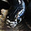 Dot Dash California Kingsnake